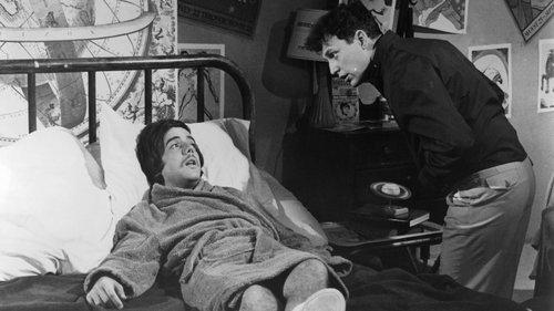 Up in the Cellar filmas žiurėti online