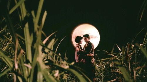 The Scar filmas žiurėti online