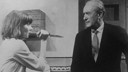 The Candy Man filmas žiurėti online