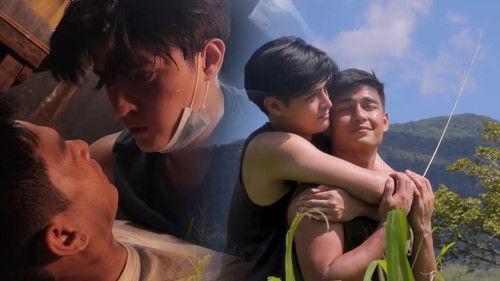 Run filmas žiurėti online