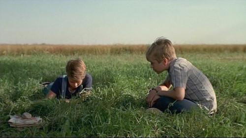 The Nature of Nicholas filmas žiurėti online