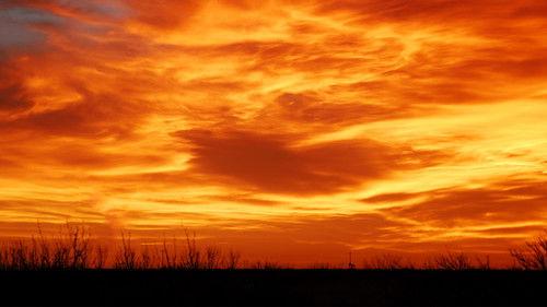 The Junction Boys filmas žiurėti online