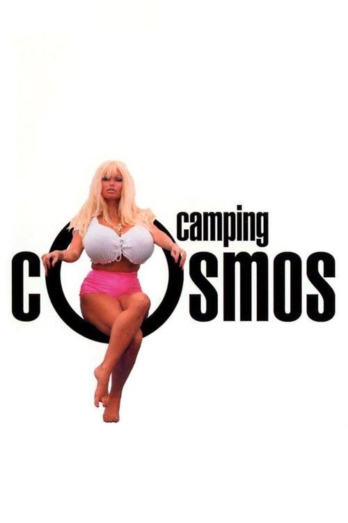 La vie sexuelle des Belges partie 2 - Camping Cosmos filmas online