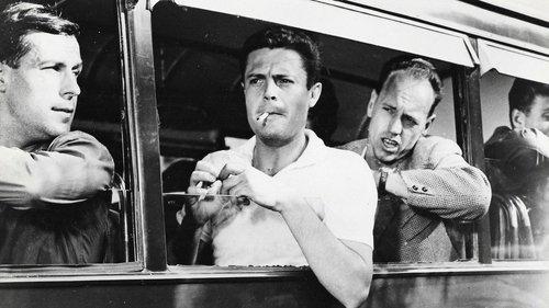 Sunday Heroes filmas žiurėti online