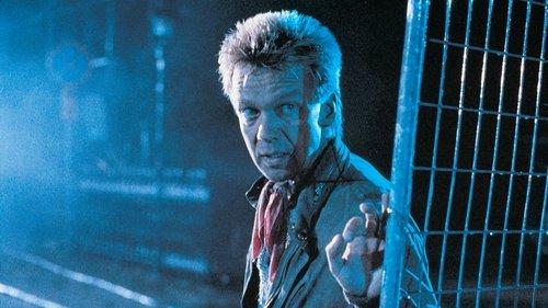 Strul filmas žiurėti online