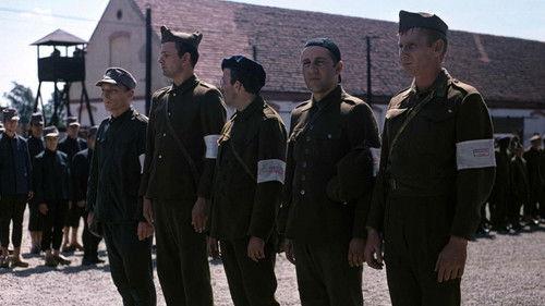 Olimpiada 40 filmas žiurėti online