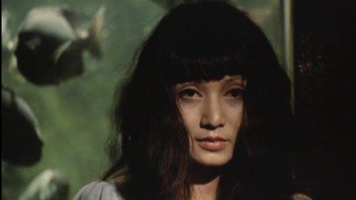 A Japanese Demon filmas žiurėti online