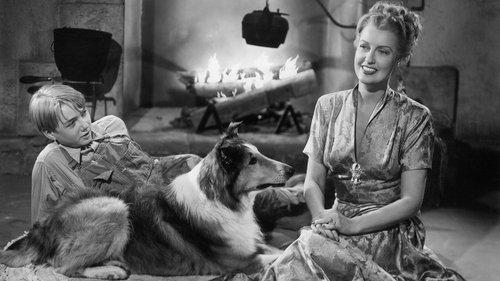 The Sun Comes Up filmas žiurėti online