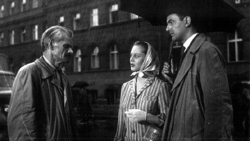 Tri Ane filmas žiurėti online