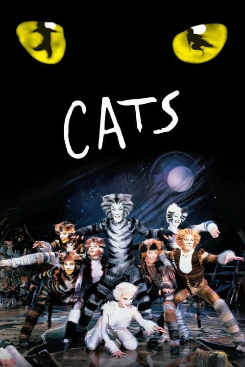 Cats filmas online