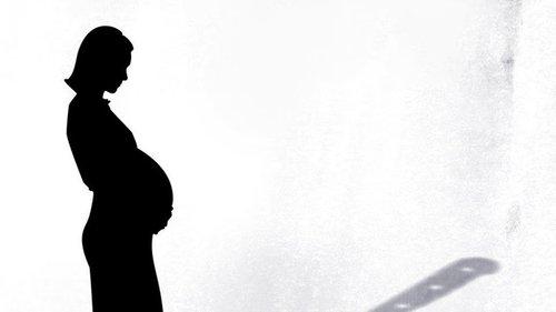 The Surrogacy Trap filmas žiurėti online