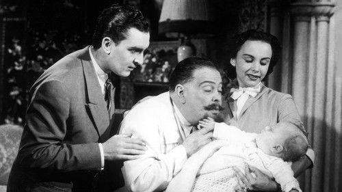 O Costa d'África filmas žiurėti online