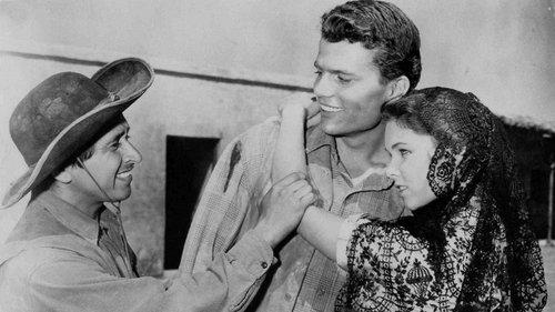 The Young Land filmas žiurėti online