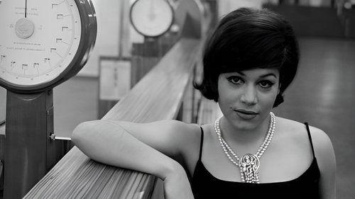 Die endlose Nacht filmas žiurėti online