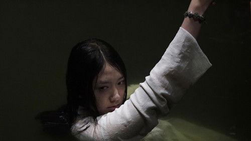 The Evil Twin filmas žiurėti online