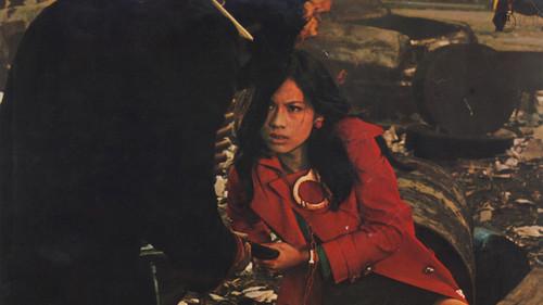 Zero Woman: Red Handcuffs filmas žiurėti online