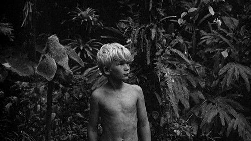 Lord of the Flies filmas žiurėti online