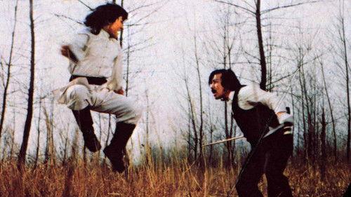 The Dragon, the Young Master filmas žiurėti online