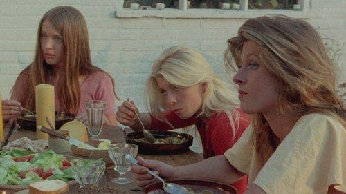 Mijn nachten met Susan, Olga, Albert, Julie, Piet & Sandra filmas žiurėti online