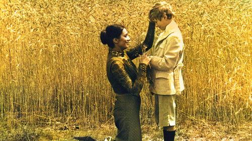 Zmory filmas žiurėti online