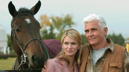 Widow on the Hill filmas žiurėti online