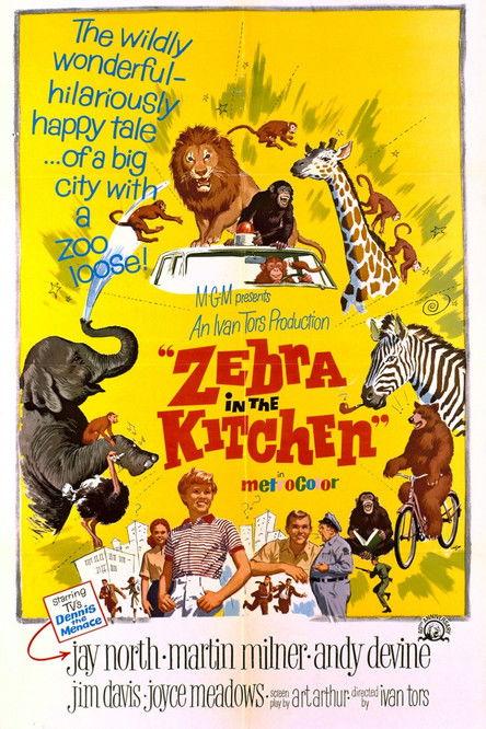 Zebra in the Kitchen filmas online