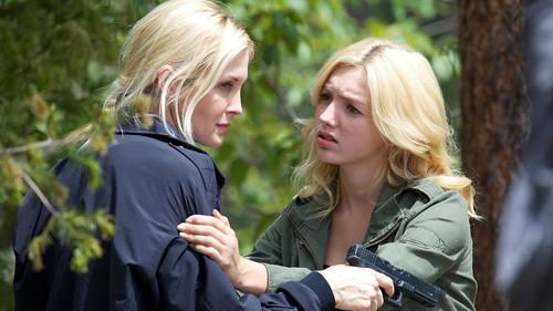 All She Ever Wanted filmas žiurėti online