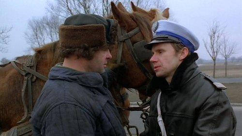 Teddy Bear filmas žiurėti online