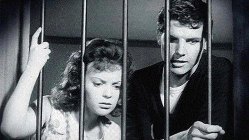 Too Young to Love filmas žiurėti online