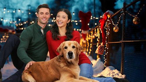 Tails of Christmas filmas žiurėti online