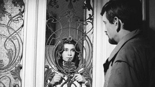 Nylon Moon filmas žiurėti online