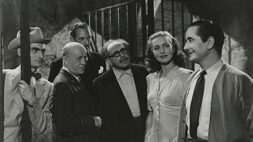 One Night with You filmas žiurėti online