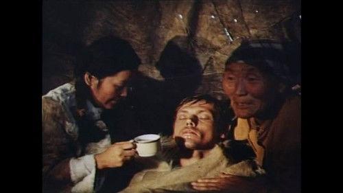 Territory filmas žiurėti online