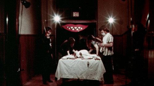 The Fun House filmas žiurėti online