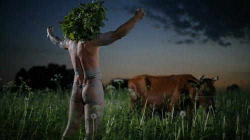 Midsummer Madness filmas žiurėti online