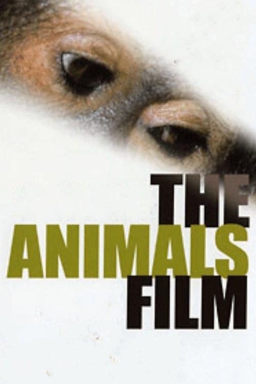 The Animals Film filmas online