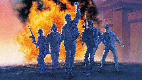 The Rescue filmas žiurėti online