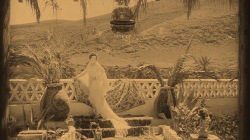 Mother Hummingbird filmas žiurėti online