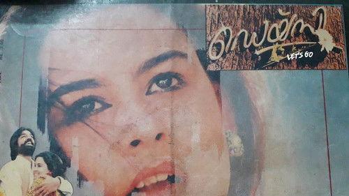 Daisy filmas žiurėti online