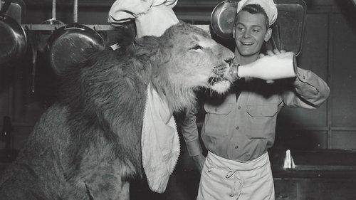 Fearless Fagan filmas žiurėti online