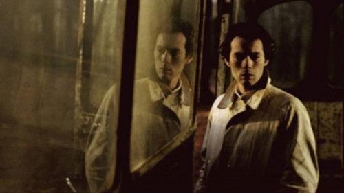 The Son of Amir Is Dead filmas žiurėti online