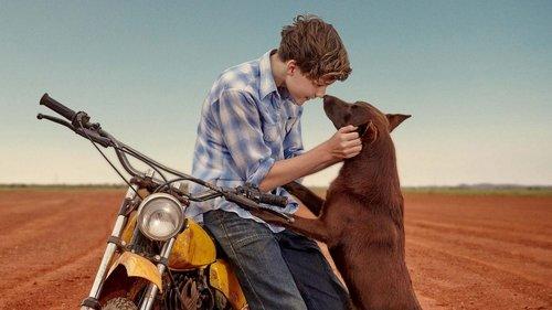 Red Dog: True Blue filmas žiurėti online