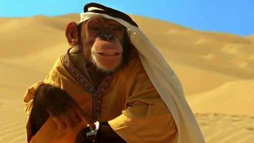 Spymate filmas žiurėti online