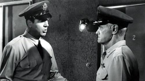 Bailout at 43,000 filmas žiurėti online