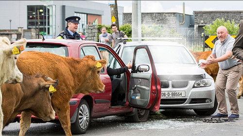 Halal Daddy filmas žiurėti online