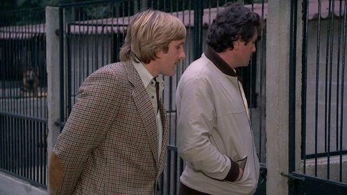 Les Chiens filmas žiurėti online