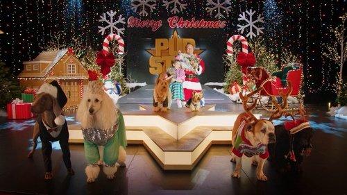 Puppy Star Christmas filmas žiurėti online
