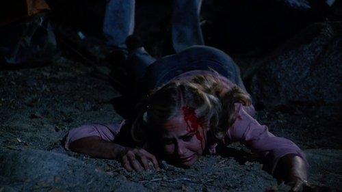 The Forest filmas žiurėti online