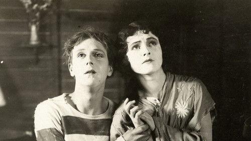 The Gallery of Monsters filmas žiurėti online