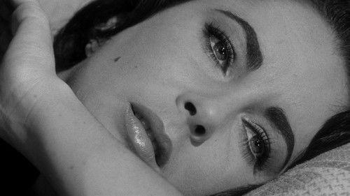 Suddenly, Last Summer filmas žiurėti online